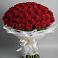 Букет 101 Красная роза Блэк Мэджик в Исилькуле
