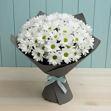 Букет цветов из:  Хризантемы #REPLACE_PRED# Исилькуле