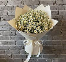 Букет цветов из:  Ромашки в Исилькуле