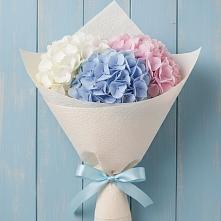 Букет цветов из:  Гортензия в Исилькуле