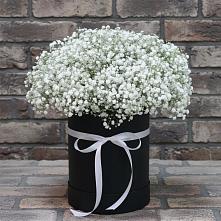 Цветочная композиция из Гипсофила в шляпной коробке #REPLACE_PRED# Исилькуле