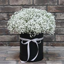 Цветочная композиция из Гипсофила в шляпной коробке в Исилькуле