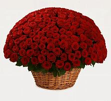 Премиум букет из: Розы в Исилькуле