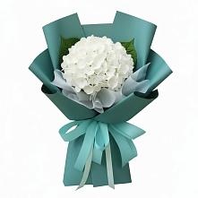 Букет цветов из:  Гортензия в Исилькуле